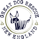 Logo for Great Dog Rescue New England featuring a simple line drawing of a dog’s face inside a circular border with the organization's name.