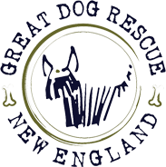 Logo for Great Dog Rescue New England featuring a simple line drawing of a dog’s face inside a circular border with the organization's name.