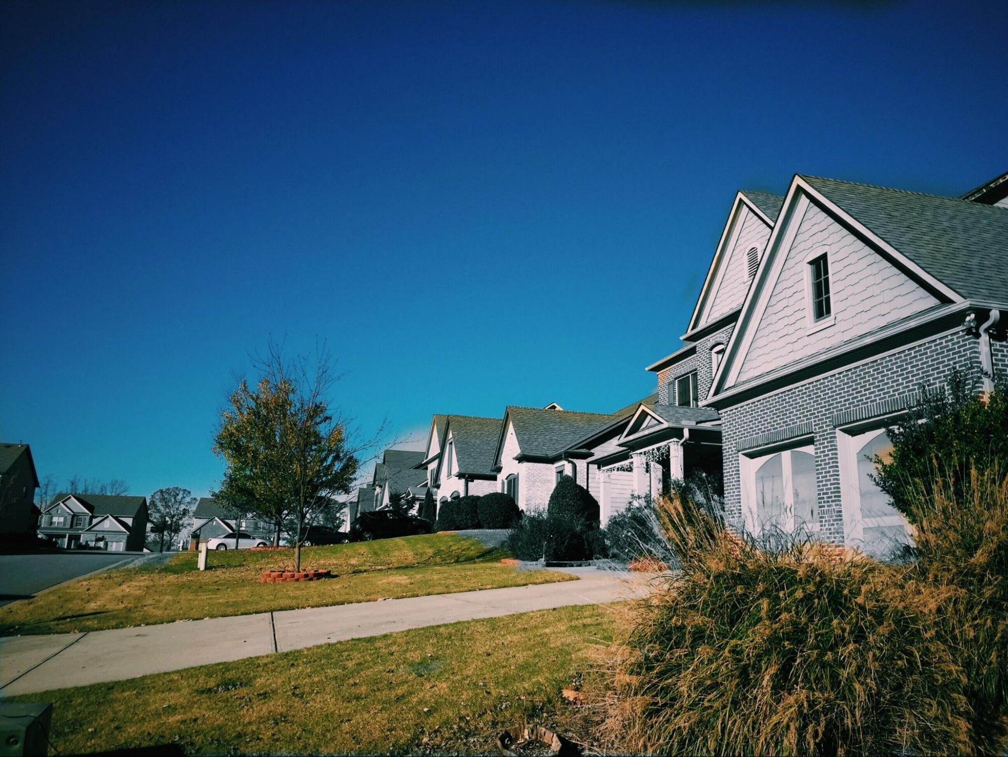 Row of modern suburban houses with driveways, neatly trimmed lawns, and bushes under a clear blue sky.