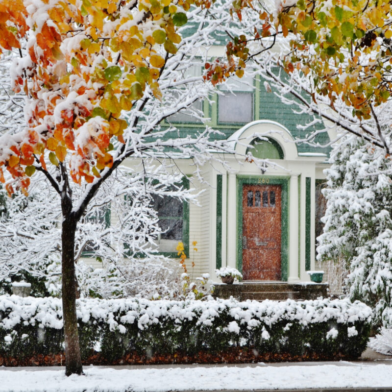 A green house is surrounded by snow-covered trees, some with fall leaves still on their branches, on a quiet street—a peaceful scene that invites you to wonder: are heat pumps efficient in such varying climates?.