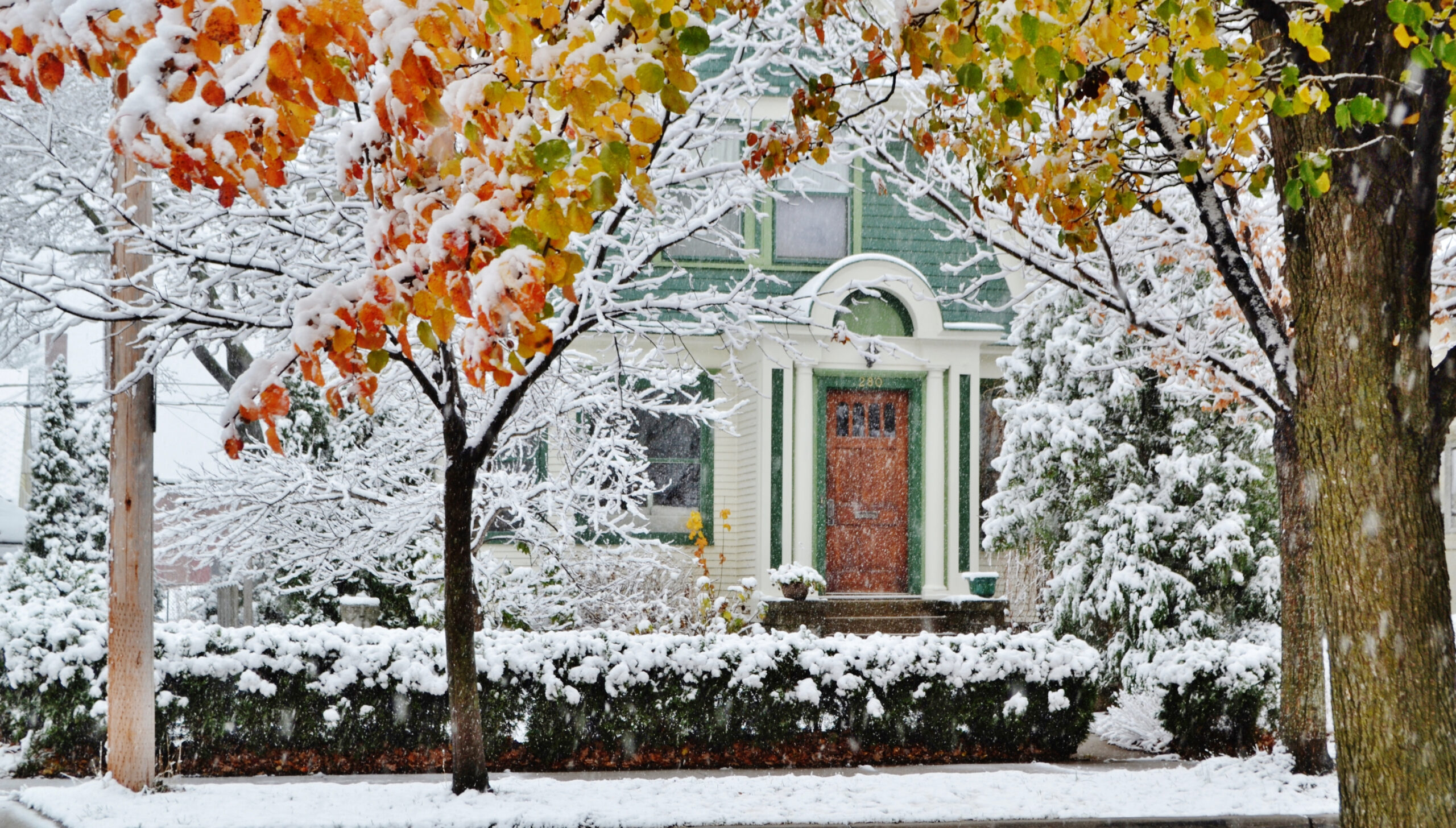 A green house is surrounded by snow-covered trees, some with fall leaves still on their branches, on a quiet street—a peaceful scene that invites you to wonder: are heat pumps efficient in such varying climates?.